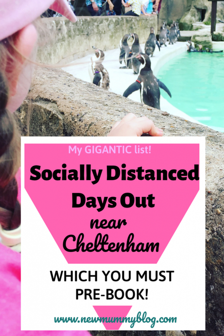 Socially Distanced days out near Cheltenham – which you must PRE-BOOK