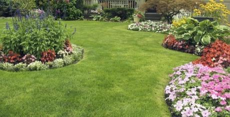 7 Reasons To Hire A Landscaping Company In Chilliwack And Abbotsford