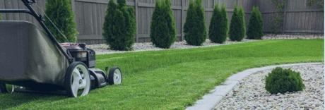 7 Reasons To Hire A Landscaping Company In Chilliwack And Abbotsford