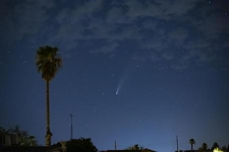 SpaceX Starlink satellites are photo-bombing shots of Comet Neowise