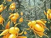 #MissBensonsBeetle Rachel Joyce