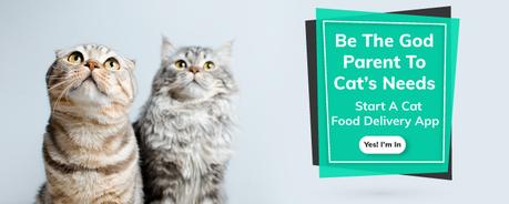 Cat Food Delivery Service: Nutritious, Delicious Food For Your Pawrrfect Partner!