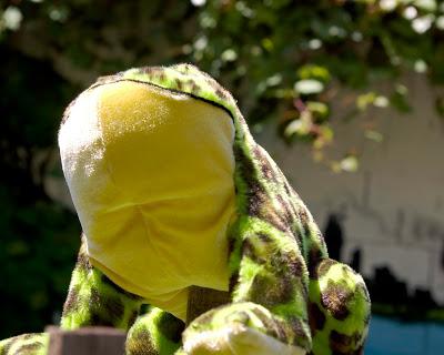 In the garden of Eden... [the epic of Jump and Kong]