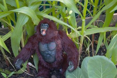 In the garden of Eden... [the epic of Jump and Kong]