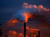 Does Pollution Kill Plants Animals What Major Pollutants?