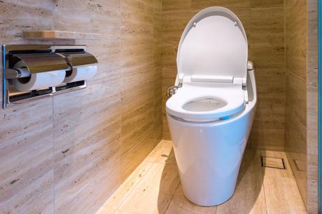 The Best Self Cleaning Toilets