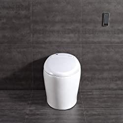 Ove Decors Toilet Reviews