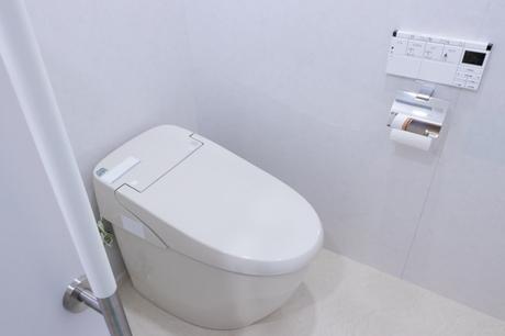 Ove Decors Toilet Reviews