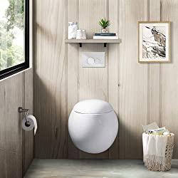Swiss Madison Toilet Reviews