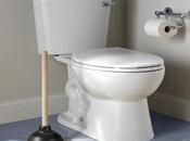 Sterling Toilet Reviews