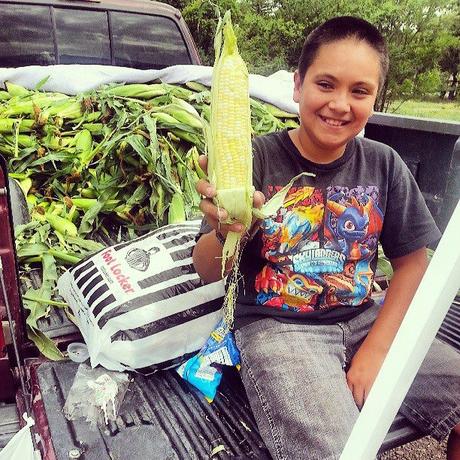 grilled corn on the cob