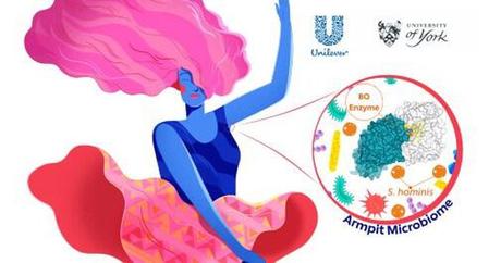 Scientists identify the ancient enzyme that makes body odor so strong
