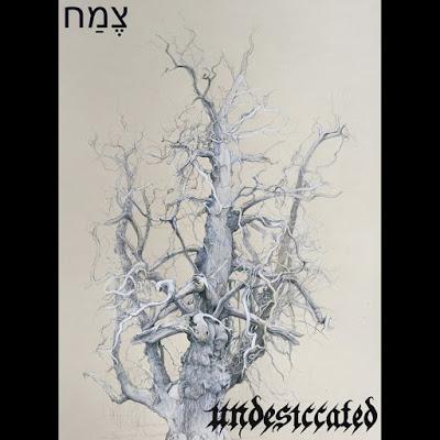 Undesiccated - ‎צֶמַח (tseh'-makh)