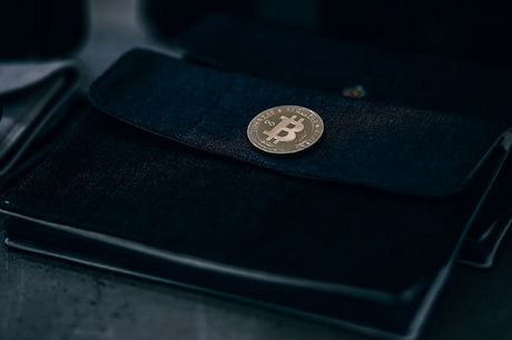 What are the Different Types of Bitcoin Wallets?