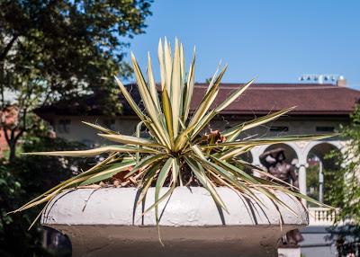 Columbus Park, Hoboken, NJ