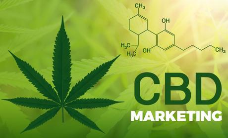 CBD Guest Posts - CBD Health Benefits Blogs