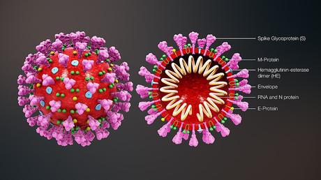 Difference Between Coronavirus and Sars