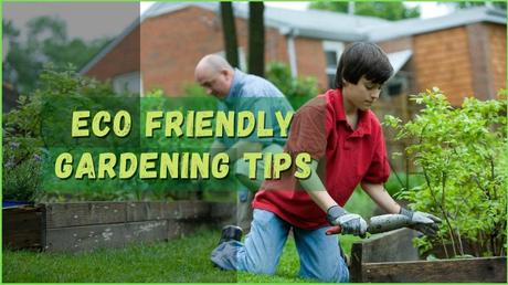 11+ Eco Friendly Gardening Tips With Zero Waste