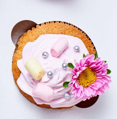 The Best Vanilla Cupcakes