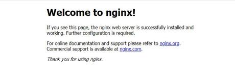 Nginx on Browser