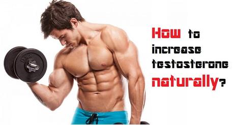 Diet and Herbal Treatment to Increase the Testosterone Naturally Diet and Herbal Treatment to Increase the Testosterone Naturally