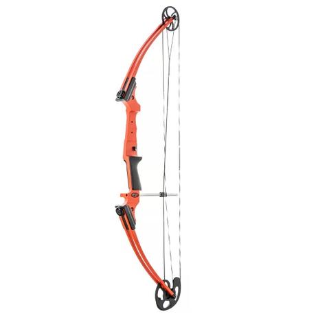 Best Compound Bows For Women in 2020