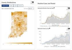 Check the Data: COVID19 Dashboards