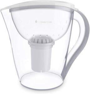  Premium Alkaline Pitcher Ionizer 2020