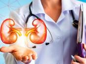 What Causes Kidney Stones? Possible