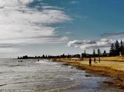 Does Adelaide Have Good Beaches?