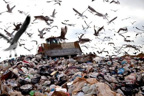 garbage-trash-landfill-site-environmental-concern