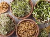 Sprouts: Benefits, Easy Preparation, Potential Risks