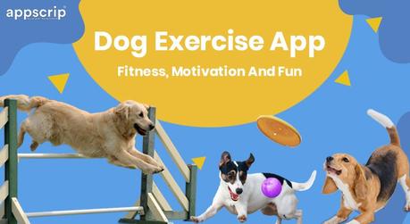 Dog Exercise App: Fitness, Motivation And Fun