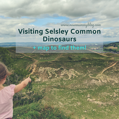 Visiting Selsley Common dinosaurs + maps to find them!