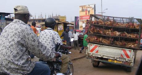 Virtually edible! A food tour of Uganda