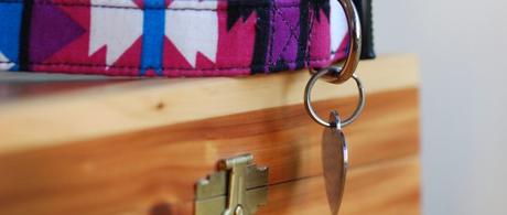 6 Things To Do With Your Pets Cremated Ashes