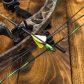 Compound Bow Close Up