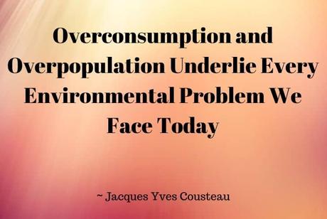 Image result for overpopulation and growth model