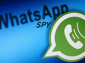 Solutions WhatsApp Tracking