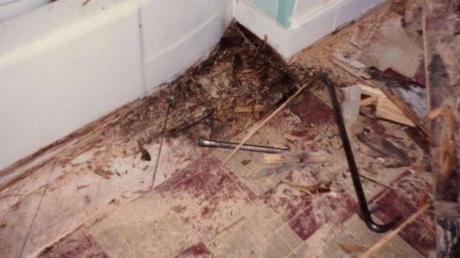 Bathroom Shower Repair – 9 Ways To Fix A Shower Leakage Bathroom Shower Repair – 9 Ways To Fix A Shower Leakage