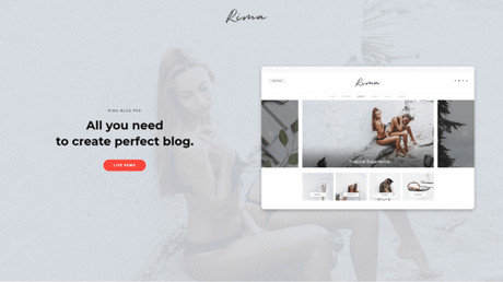 20+ Best WordPress Themes For Travel Blogs