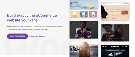 eCommerce website builder