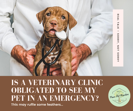 Real talk: Does a veterinary hospital have to see your pet?