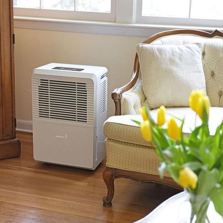 Finding the Best Basement Dehumidifier