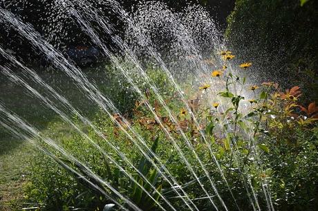 Best Sprinkler Controller to Irrigate Your Yard