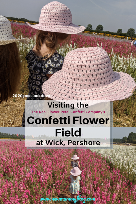 Confetti Flower Field at Wick, Pershore – August 2020