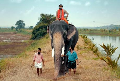 World Elephant day ~  Chirakkal Kalidasan
