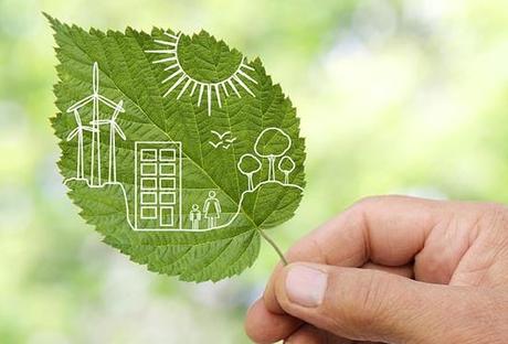 7 Green Businesses: Thinking About the Future Today