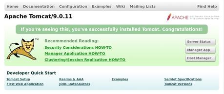 tomcat-home tomcat9 homepae
