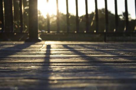 Best Wood Filler to Patch Your Deck